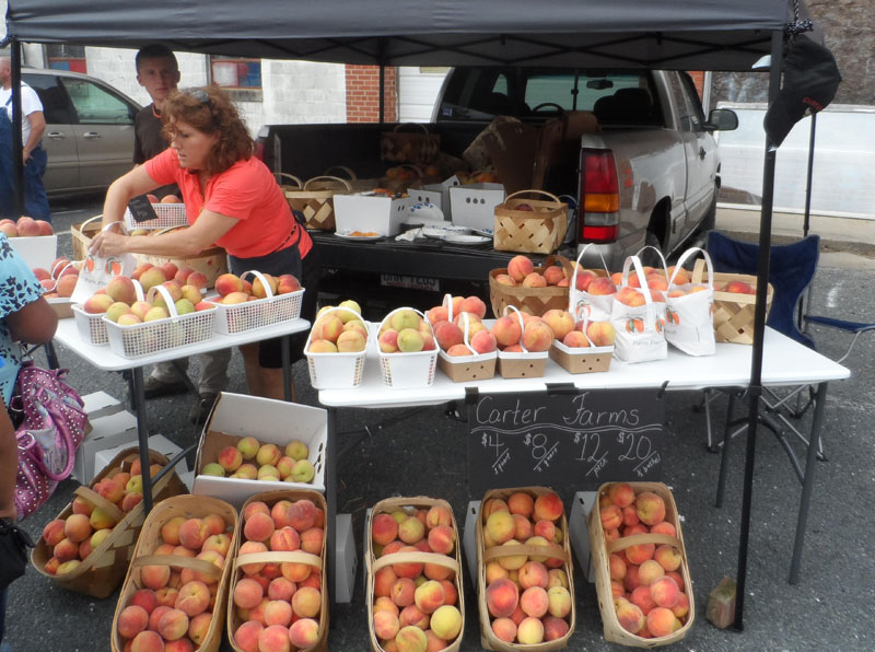 Festival of the Peach Candor Is the Scene NC Folk