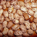 Pinto Beans by Basswulf/cc2.0