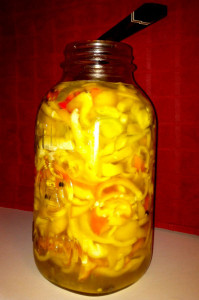 Peppers packed in a salt-water brine after a few days.