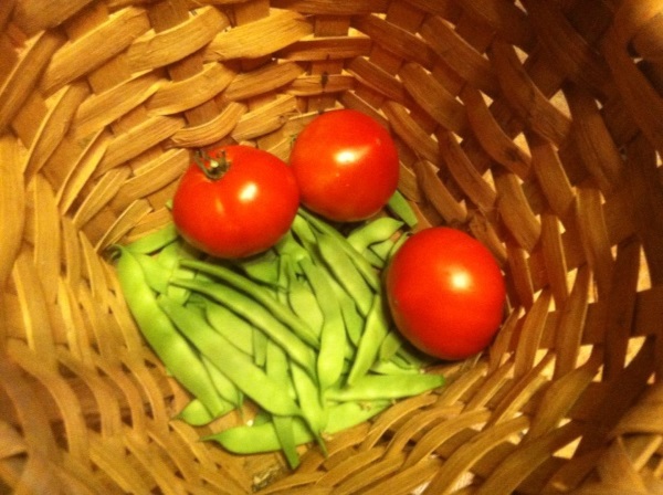 Tomatoes and snap beans  in Malinda Dunlap Fillingim's grandmother's garden.