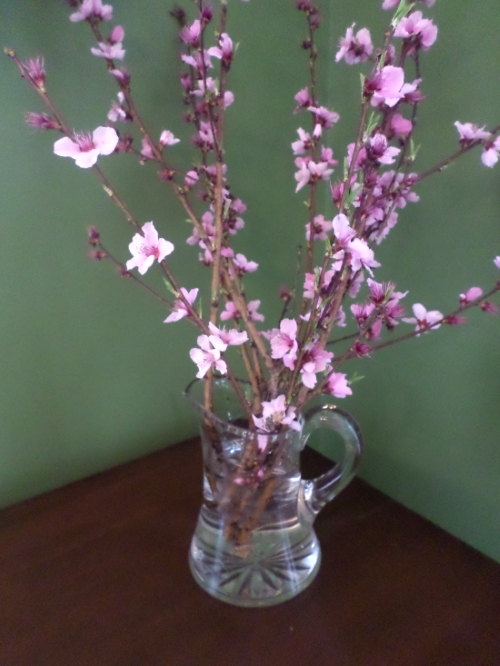 Twigs of blossoms just pruned from peach trees make a perfect spring centerpiece.