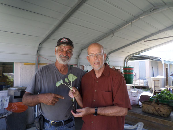 Bennie Cox (left) shows our author how much of a bedding plant to cover with soil.