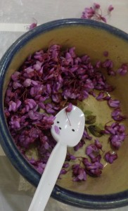 A bowl of freshly picked redbud blossoms is ready for making a salad. (Ray Linville)