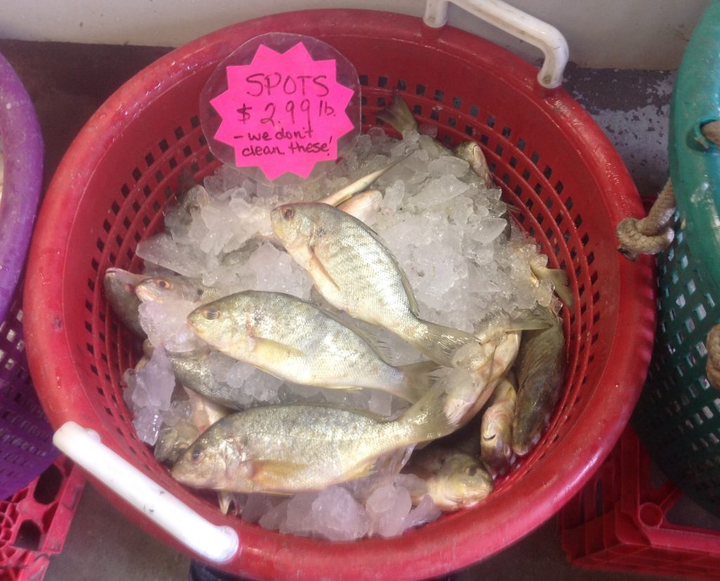 If you don’t catch spots yourself, a seafood market such as Blackburn Brothers has them available.