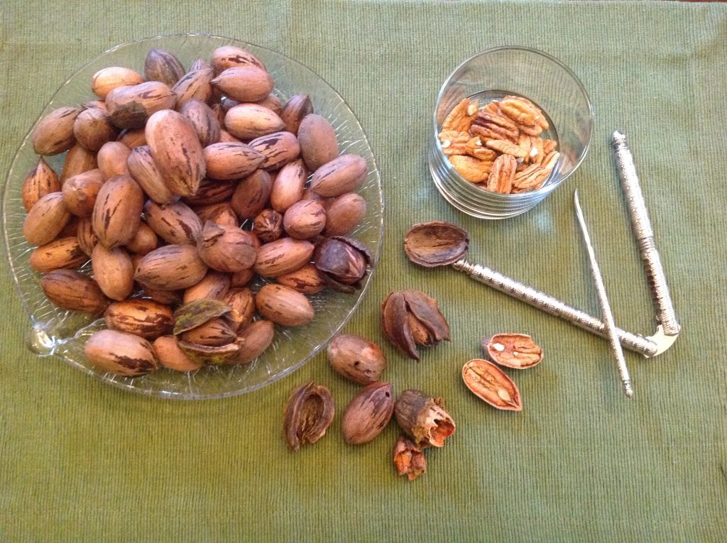 Later at home, the next step is to crack the nuts and save them for making pies.
