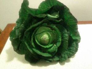 Cabbage Collards