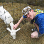 matt-goat