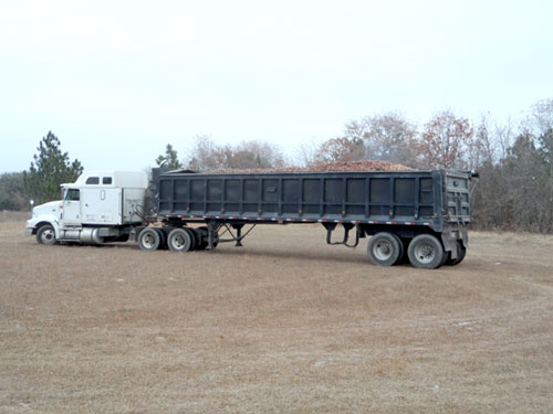 A huge truckload of sweet potatoes arrives to feed families in need.