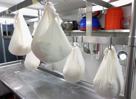 Whey drains from bags of newly made goat cheese.