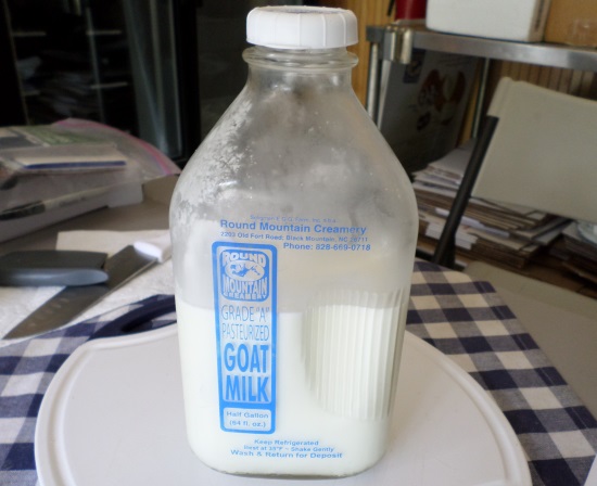 Round Mountain Creamy produces about 80 gallons of goat milk each day.