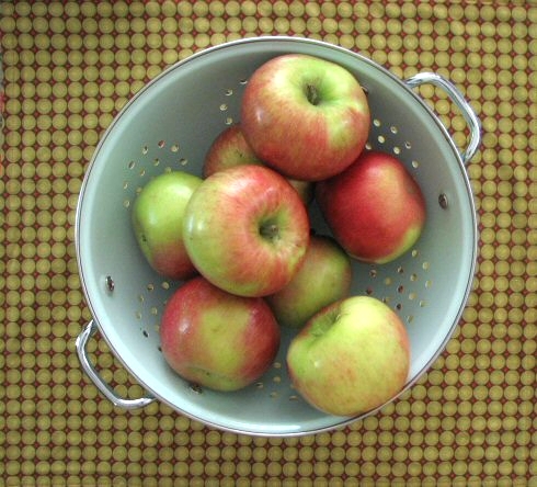 "Apples" by lisaclark is licensed under CC BY 2.0.