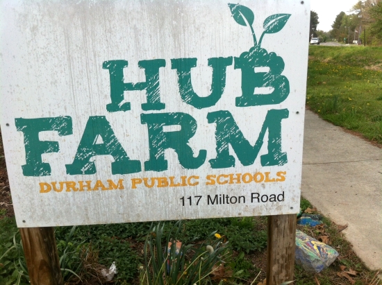 Durham Hub Farm