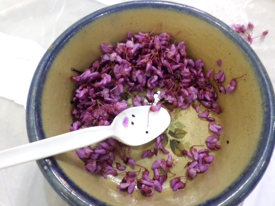 Redbud flowers, which have a slightly nutty flavor, were boiled or eaten raw by Native Americans and became a favorite of early colonial settlers as a salad ingredient.