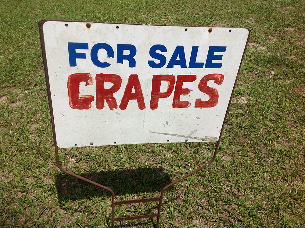 Signs on the side of a road can lead to fresh grapes.