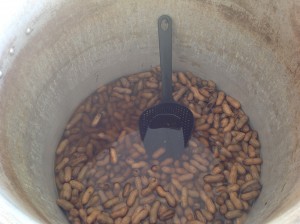 A big pot of boiled peanuts is what every farmers' market needs.