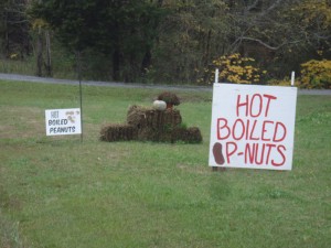Hot boiled peanuts are ready for visitors to the Shelby area in Cleveland County.