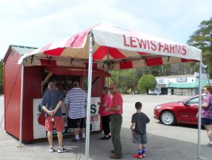 In line for strawberries