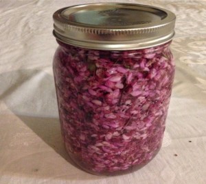 Redbud tree blossoms are steeped in water by food writer and cookbook author Nancie McDermott as she prepares to make jelly. (Nancie McDermott)