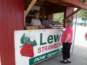 Strawberry stand