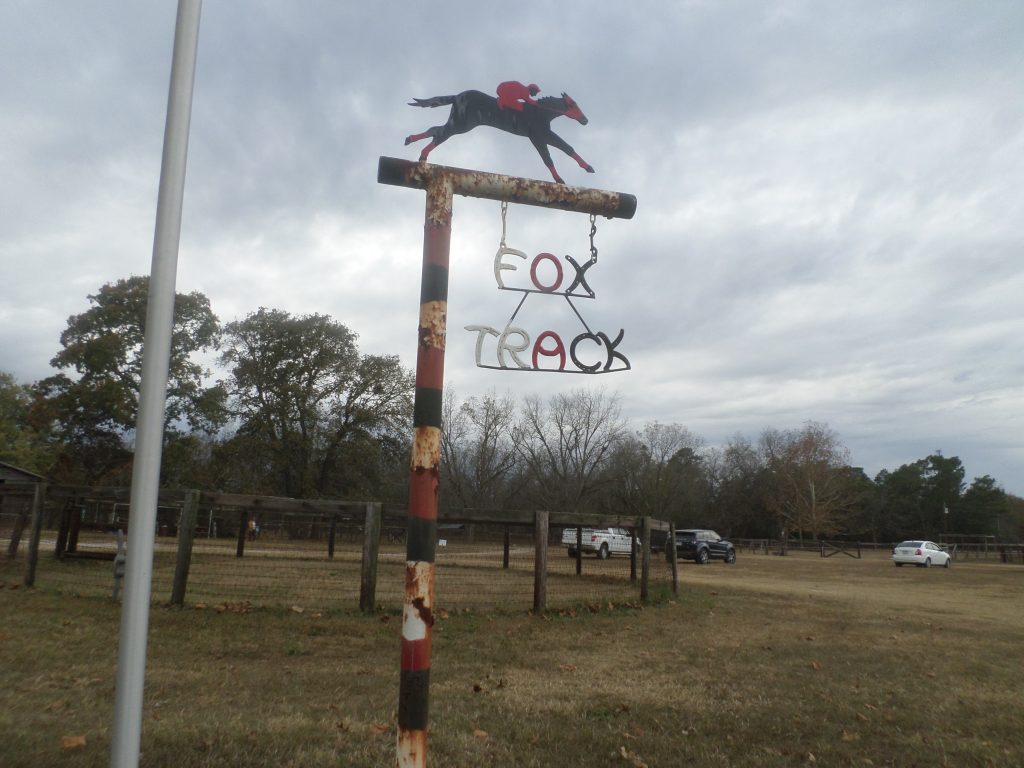  A historic horse farm offers pecan picking on a limited schedule.